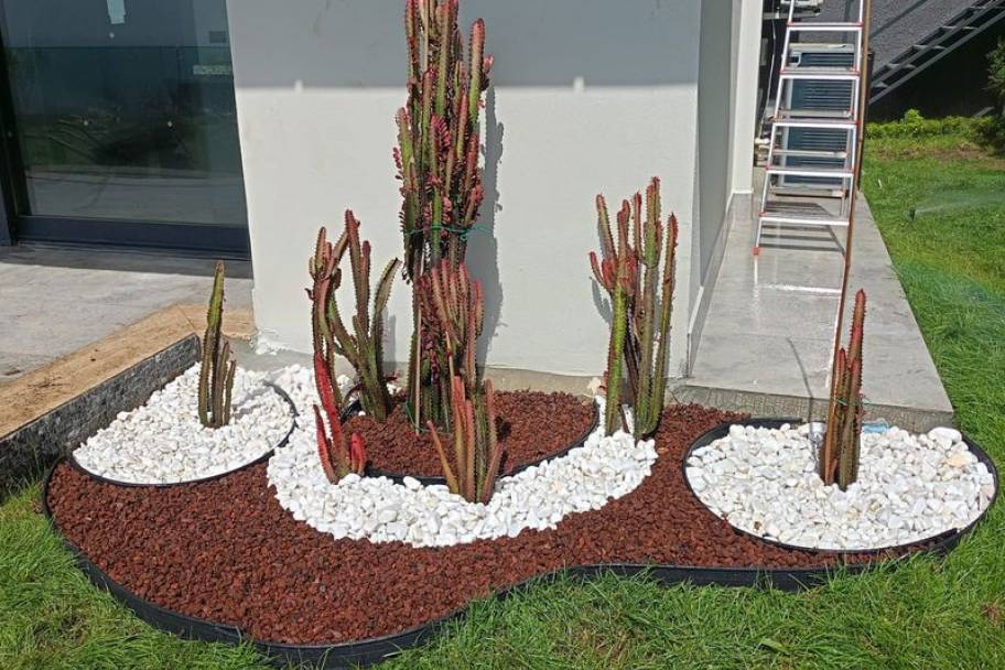 Property Detail